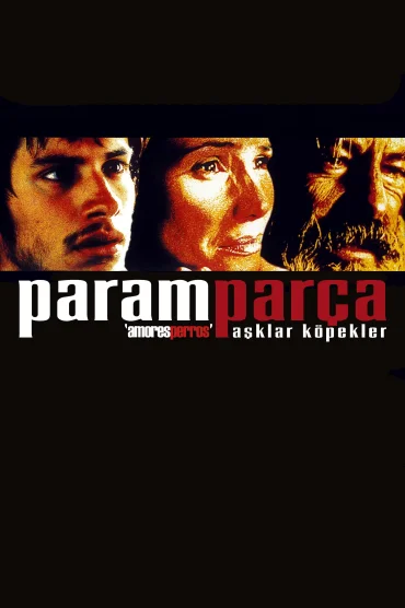 Amores perros